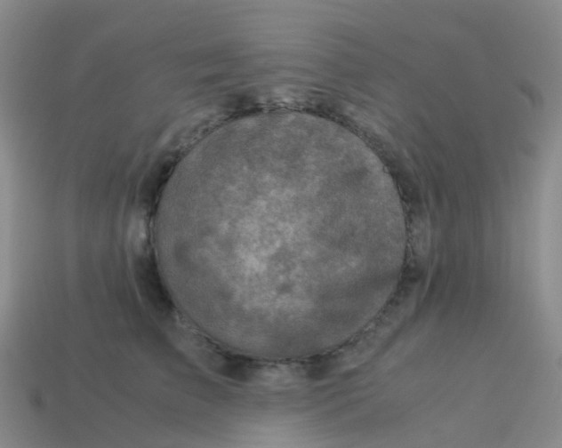 X0000113540709200910161412