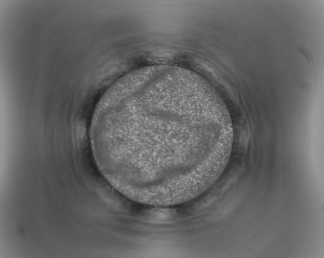 X0000113540711200910161412