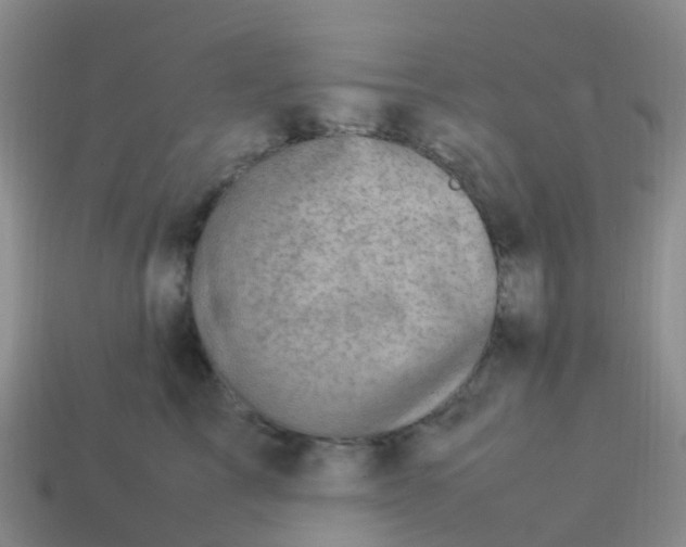 X0000113540713200910161412