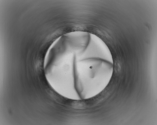 X0000113540714200910161412