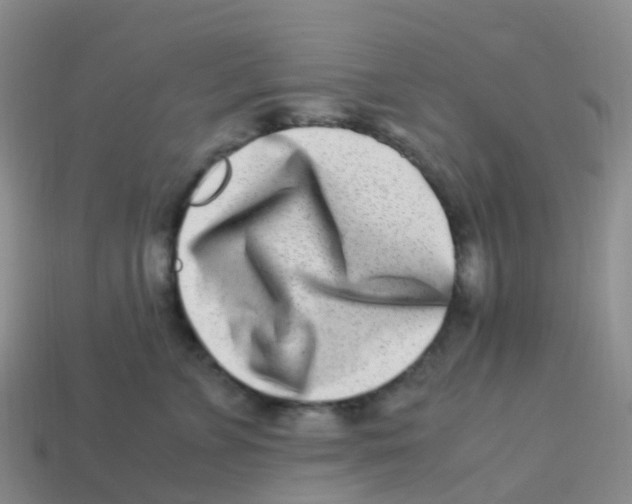 X0000113540715200910161412