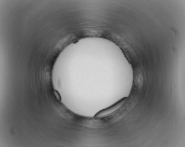 X0000113540716200910161412