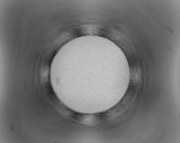 X0000113540717200910161412