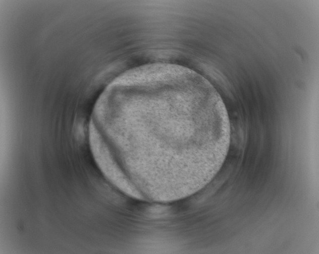 X0000113540718200910161412