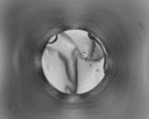 X0000113540719200910161412