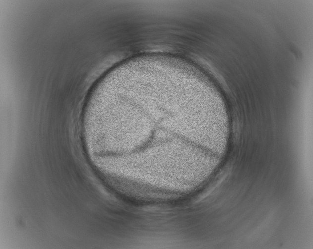 X0000113540721200910161411