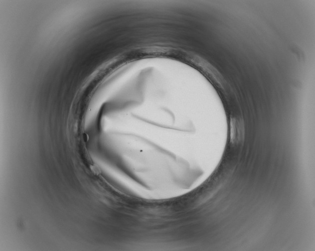 X0000113540723200910161411