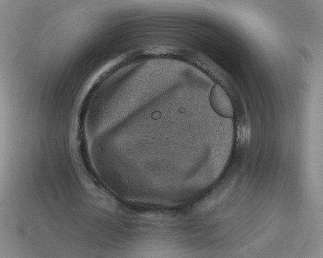 X0000113540724200910161411