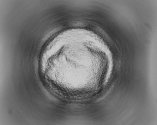 X0000113540725200910161411