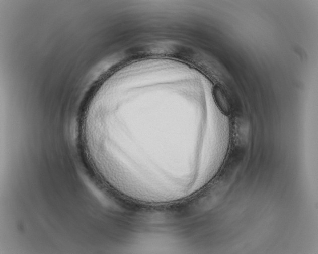 X0000113540726200910161411