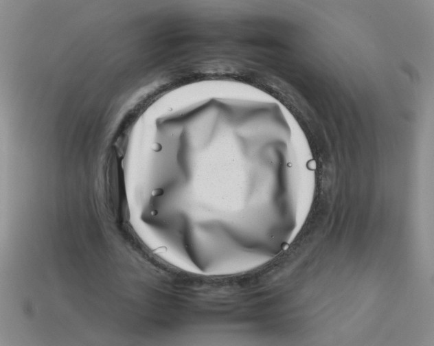 X0000113540727200910161411