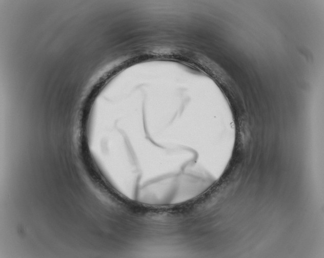 X0000113540728200910161411