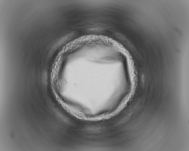 X0000113540729200910161411