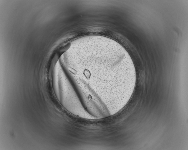 X0000113540731200910161411