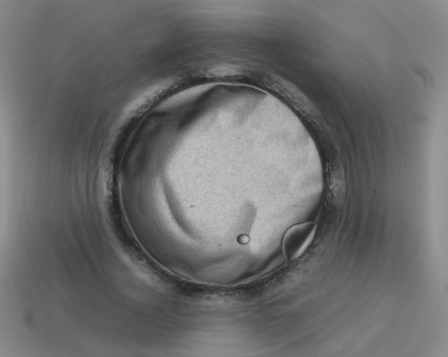 X0000113540732200910161411