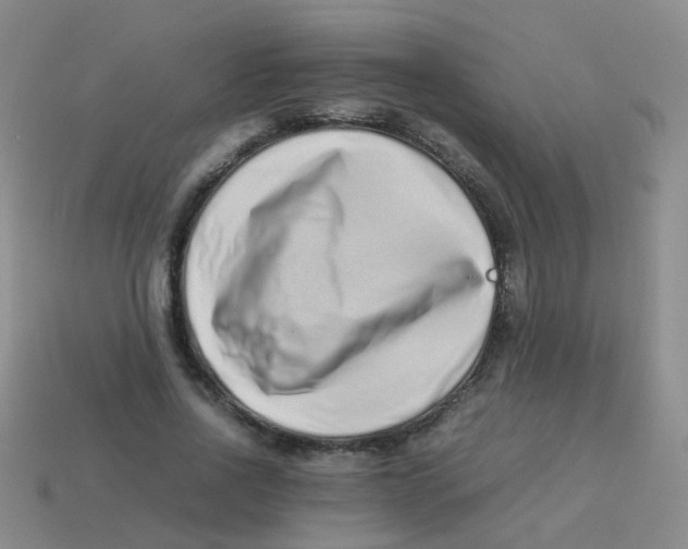X0000113540734200910161411