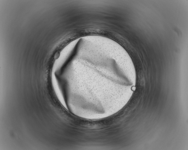 X0000113540735200910161412