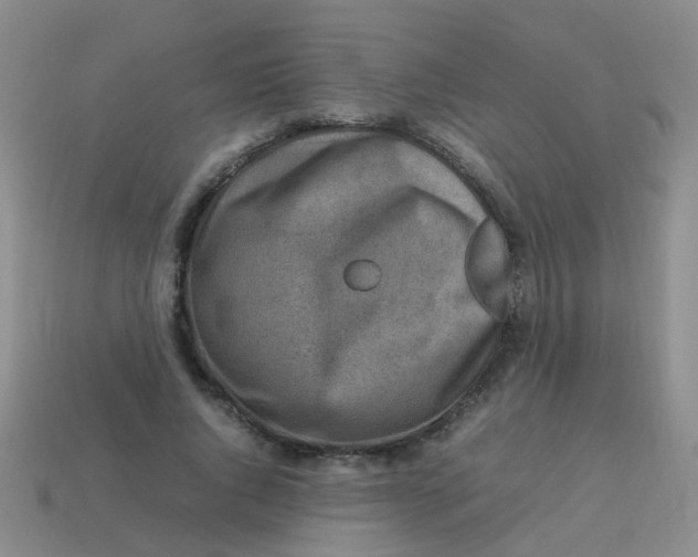 X0000113540736200910161412