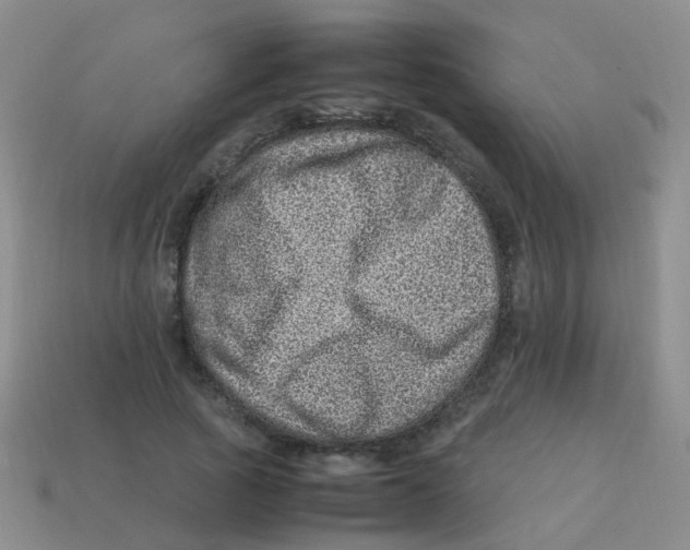 X0000113540737200910161412