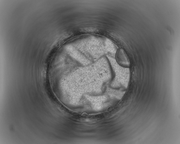 X0000113540739200910161412