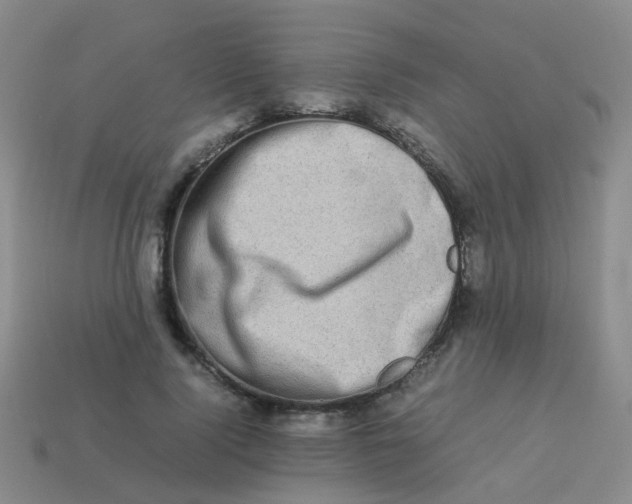 X0000113540740200910161412