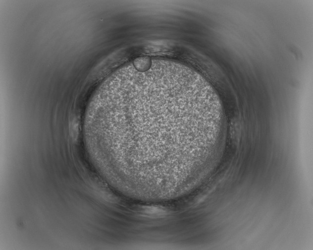 X0000113540741200910161412