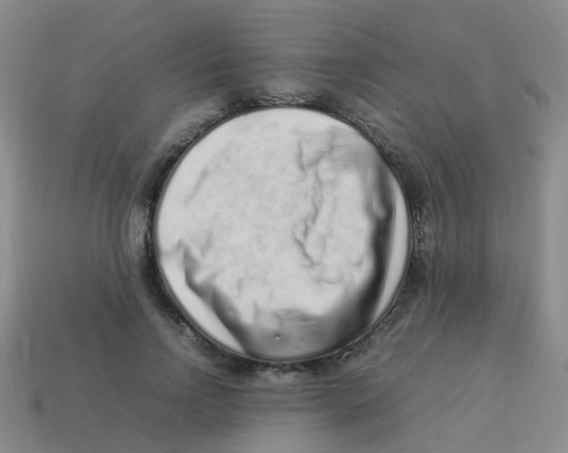 X0000113540742200910161412