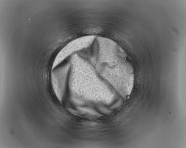 X0000113540743200910161412