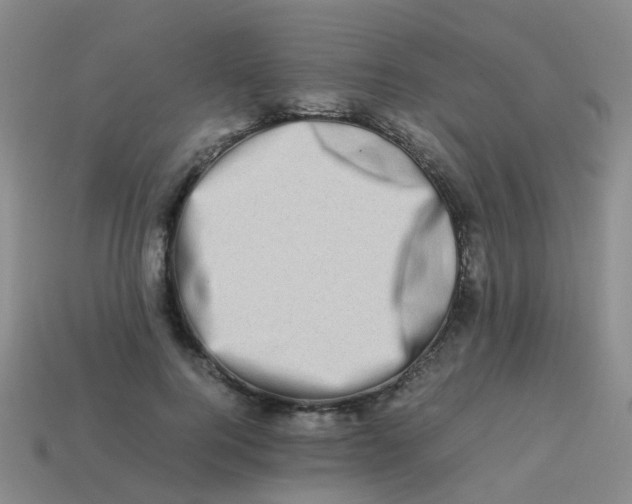 X0000113540744200910161412