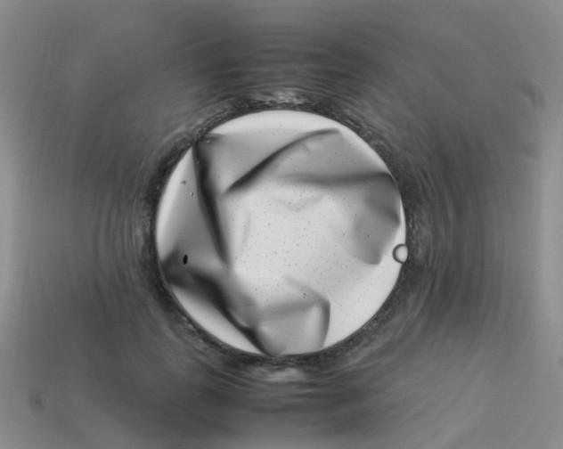 X0000113540747200910161412