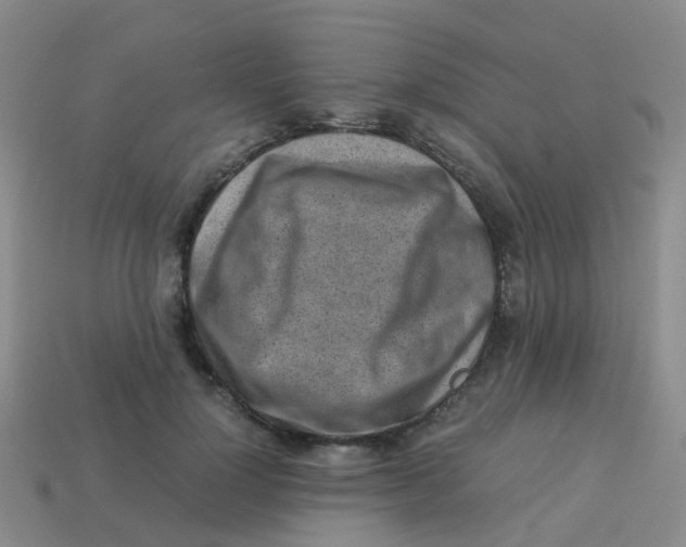 X0000113540748200910161412