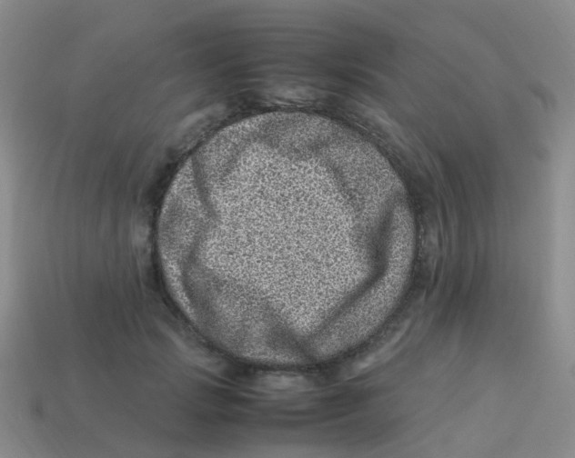 X0000113540749200910161412