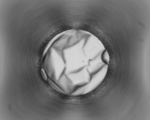 X0000113540750200910161412