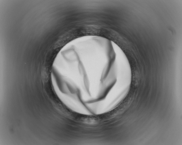X0000113540751200910161412