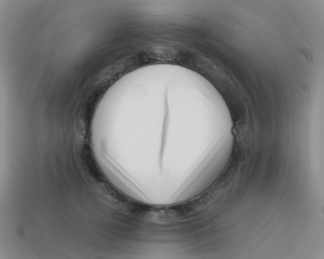 X0000113540752200910161412