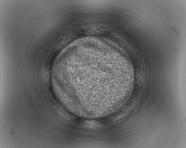 X0000113540753200910161412