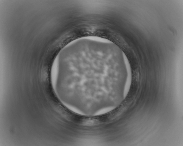 X0000113540754200910161412