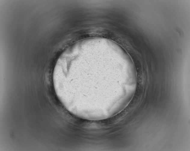 X0000113540755200910161412