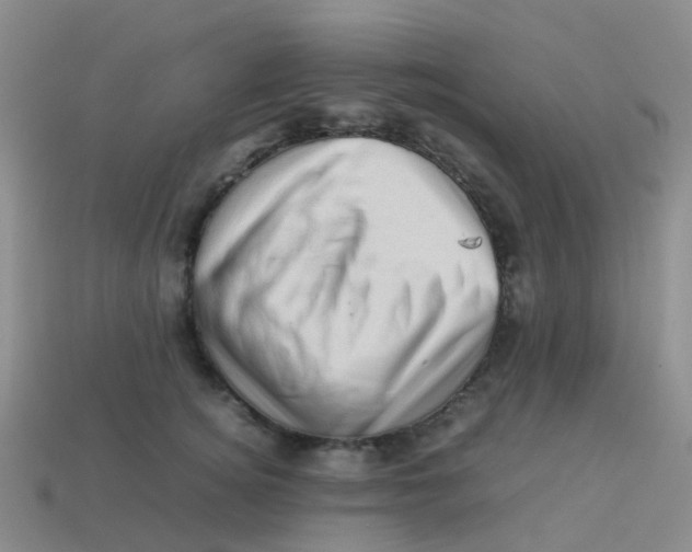X0000113540756200910161412