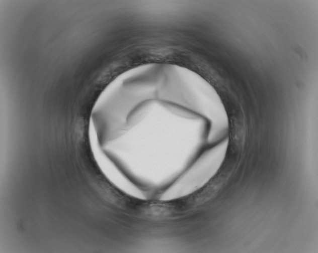 X0000113540758200910161412