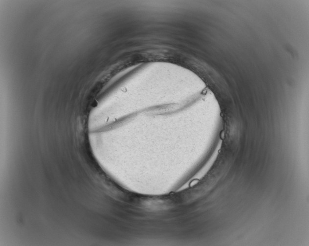 X0000113540759200910161412