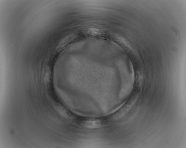 X0000113540760200910161412