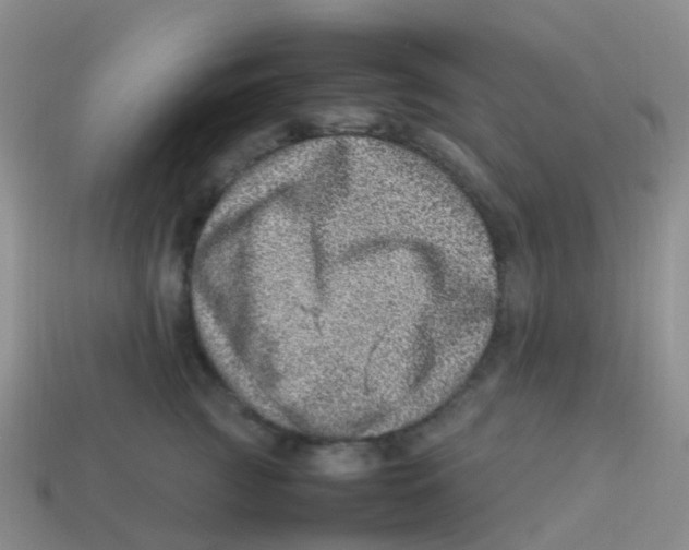 X0000113540761200910161412