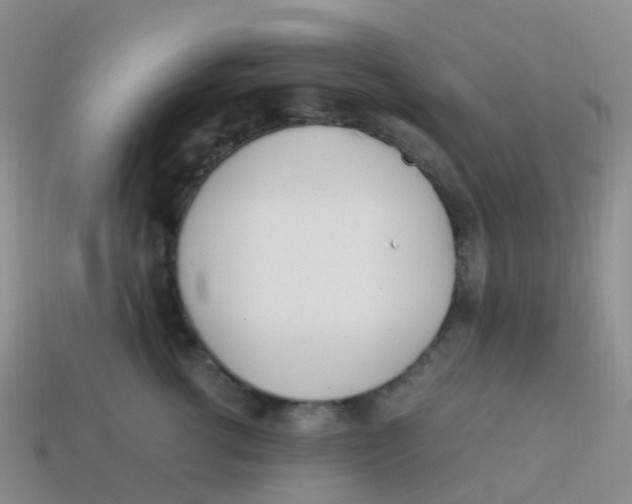 X0000113540762200910161412