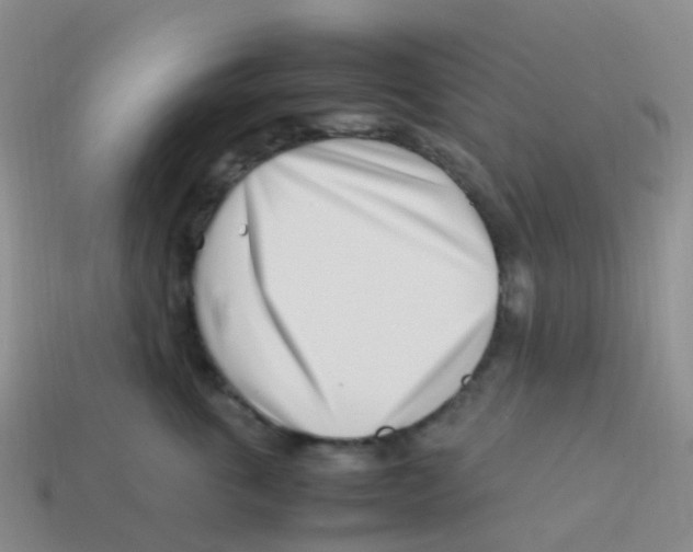X0000113540763200910161412