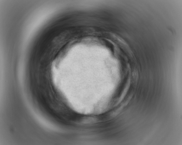X0000113540765200910161412