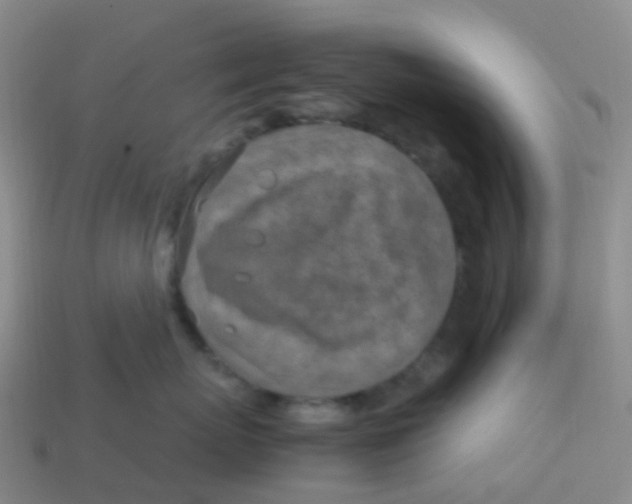 X0000113540767200910161412