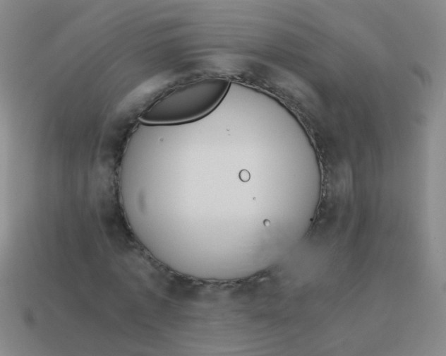 X0000113540773200910161411