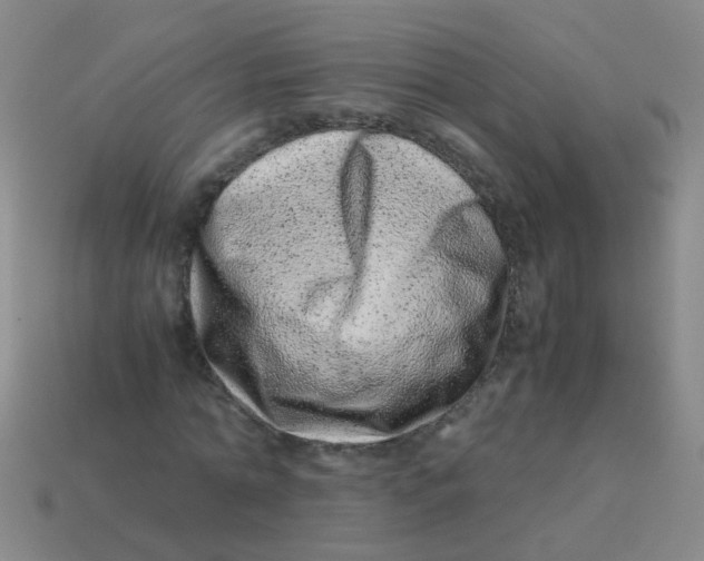 X0000113540774200910161411