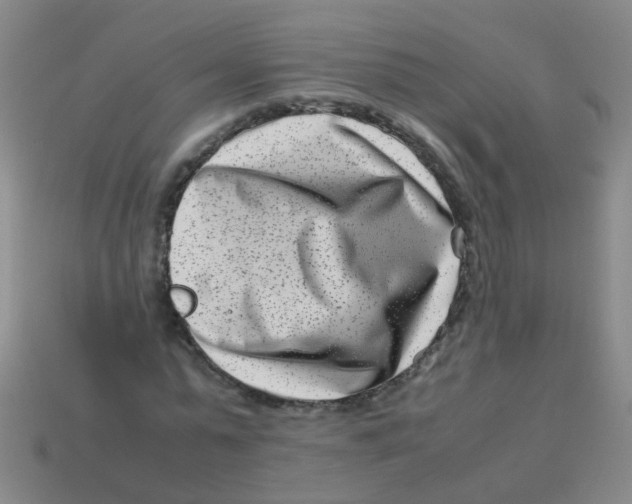 X0000113540775200910161411